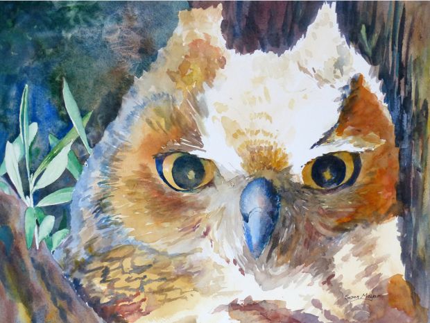 "My Baby Owl" by Susan Meyer